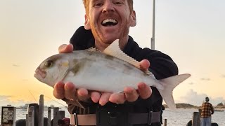 Lancelin Jetty Fishing with Mixed Results  Day Trip from Perth WA [upl. by Meunier705]