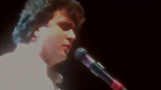 Daniel Balavoine chante Vendeurs de Larmes  1984 [upl. by Romina]