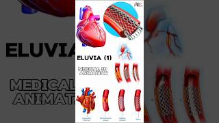 Eluvia medical animation 3d short  BiologywithAliya [upl. by Armanda]