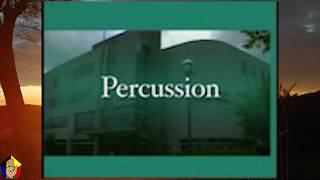 How to identify percussion sounds [upl. by Anuayek]