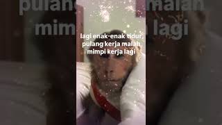 KALAU LAGI TIDUR MIMPI LEMBUR KERJA KIRAKIRA DIBAYAR TIDAK YA [upl. by Eniortna71]