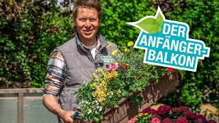 Balkonpflanzen und blumen für Anfänger [upl. by Aynekal]