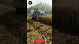 Mini combine harvester in India shorts ytshorts yanmar harvester viral [upl. by Rennane]