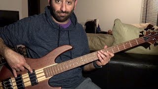 ESP LTD D4 Bass Review [upl. by Opiuuk]