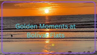 Golden Moments Cooking and Coastal Beauty at Bolivar Flats  Solo Van Travel [upl. by Rede624]