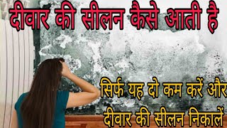 दीवार सीलन कैसे रोकें यह दो कम करेंऔर दीवार की सीलन निकाले how to Repair dampness wall waterproofing [upl. by Leisam]