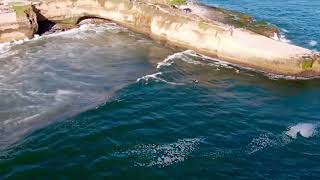 Surfing Black’s Beach April 21 2024 Santa Cruz California surfing dji socal [upl. by Olpe]