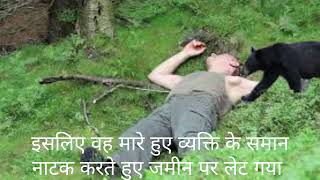 दो दोस्त और भालू की कहानी Do dost aur bhalu ki kahani in hindi [upl. by Serle24]