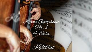 Kleine Symphonie Nr 1 4 Satz classic [upl. by Siladnerb]