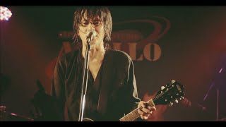 The Birthday「誰かが」（Live at 出雲APOLLO“シャム猫の絶叫”TOUR 2016） [upl. by Risa]