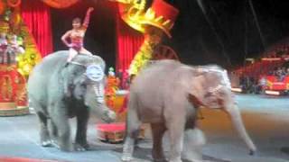 Ringling Bros [upl. by Lowery298]