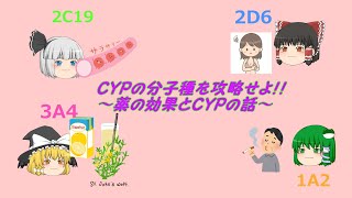 CYPの分子種を攻略せよ！！～薬の効果とCYPの話～【ゆっくり解説】 [upl. by Sukramed]