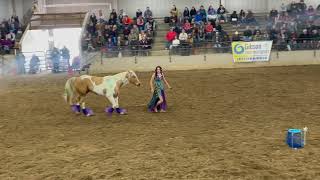 Invitational Liberty Freestyle Equine Affaire Ohio 2022 Amber Buresh [upl. by Hollie]