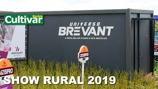 Show Rural 2019 Brevant [upl. by Rima625]