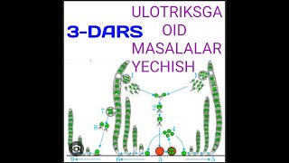 ULOTRIKSGA OID MASALALAR YECHISH 3DARS [upl. by Ecertal]