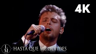 Luis Miguel  Hasta Que Me Olvides En Vivo Video Oficial 4K [upl. by Eladnek293]