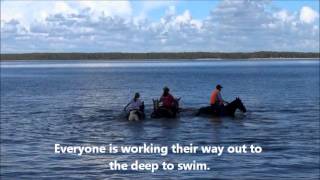 Horses Kids Dogs Fun in the Lake [upl. by Nytsrik]