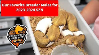 Our Favorite 20232024 SZN Breeder Males [upl. by Aram]