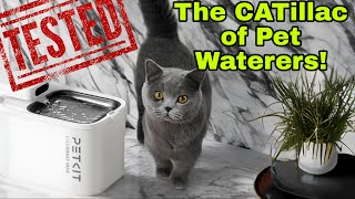 Petkit Eversweet Max Review Wireless and Smart Cat Water Fountain [upl. by Samara]