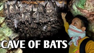 Cave Of Bats I Leparada District AP [upl. by Nitin]