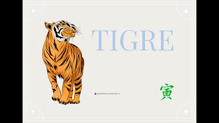 Predicciones para el signo Tigre en el Mes del Cerdo 711  512 [upl. by Genesia]