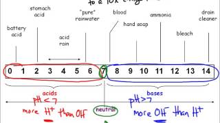 pH Scale and Indicators [upl. by Shanie271]