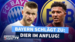 Dier vor Unterschrift beim FC Bayern – BVB holt Sancho zurück  TRANSFERMARKT [upl. by Tenneb719]