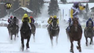 White Turf of StMoritz  Focus on the Gubelin race [upl. by Nnylyahs]