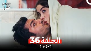 موسم الكرز الحلقة 36 الجزء 1 مدبلج بالعربية [upl. by Alaine]