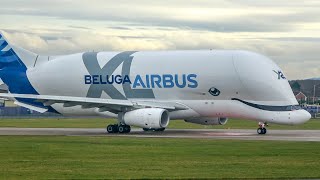 Airbus Belugas landing and takeoff at Chester Hawarden Airport [upl. by Tronna]