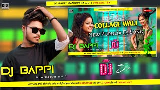 Purulia FLM Project 2024 ‼️ Collage Wali Purulia Flp ‼️ Purulia Flm Project No Voice Tag [upl. by Nylessoj605]