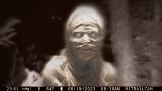 Most Disturbing Creatures Caught on Trail Cam 2023 [upl. by Ilarin768]