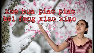 WHAT DOES quotXUE HUA PIAO PIAOquot MEAN amp STORY BEHIND quotYI JIAN MEIquot [upl. by Anastasia]