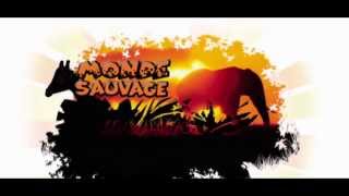 Monde sauvage dAywaille [upl. by Glarum]