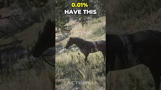 Extremely Rare Hores in Red Dead Redemption 2 rdr2 gaming eastereggs [upl. by Dyanne899]