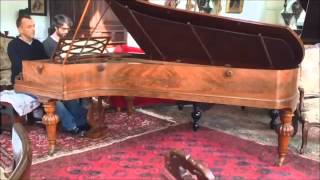 Pleyel Concert grand piano serial number 12059  year 1845 [upl. by Eirek]