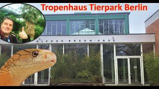 NEUE Alfred Brehm Haus in Tierpark Berlin [upl. by Eerazed263]