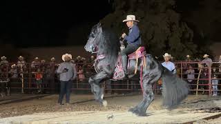 🏆CABALLOS BAILADORES EN LA CIENEGA DE CASAL 2023 [upl. by Bate]