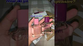 SMELL EXPENSIVE💸Under Budget✨trending shortsindia perfumes recommendations finds meeshofinds [upl. by Alfonzo]