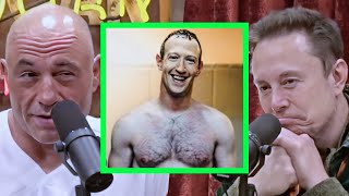 quotHe Chickened outquot  Elon EXPOSES Zuck to Joe Rogan [upl. by Ahsenit]