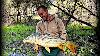 NUEVO ESCENARIO EN EL RÍO GUADALQUIVIR PESCANDO CON EL COMPAÑERO DE PROELITE BAITS [upl. by Airekahs]