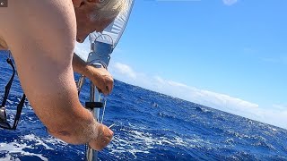 Offshore with the Cape Horn SelfSteering Wind Vane [upl. by Ainos]