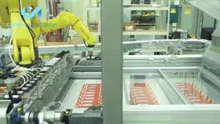 Automated Blister Sealing System with Three FANUC Robots for LoadUnload  Clear Automation [upl. by Garratt943]