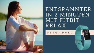 Tipps amp Tricks für das Fitbit Charge 2  Fitbit Relax deutsch [upl. by Ttelrahc276]