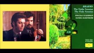 Pinchas Zukerman  Daniel BarenboimViola  Piano [upl. by Ilak]