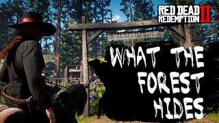 The Silent Trail  Part 1  Investigations in RDR2 [upl. by Sergo127]