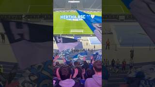 HERTHA BSC 🔥🔥💙🤍 hertha herthaberlin herthabsc herthabscberlin berlin bundesliga fans [upl. by Della7]