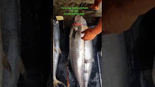 Malad 5k fish market trending fish fishmarket mumbai malad [upl. by Namsu]