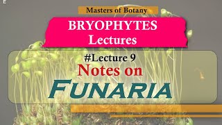 Lecture 9  Funaria Life Cycle Important Bryophytes  Bryophyta Lecture Notes [upl. by Aholah465]