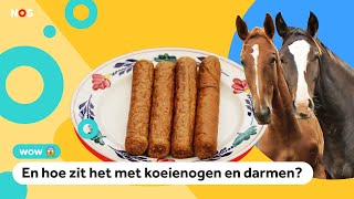 Worden frikandellen echt van paard gemaakt [upl. by Kalfas]